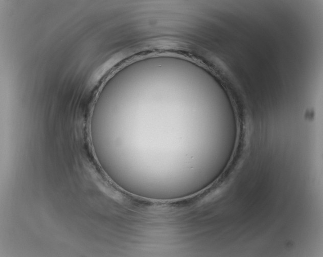 X0000114011065200910020947