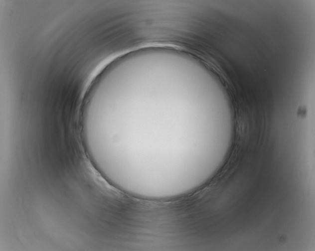 X0000114011068200910020947