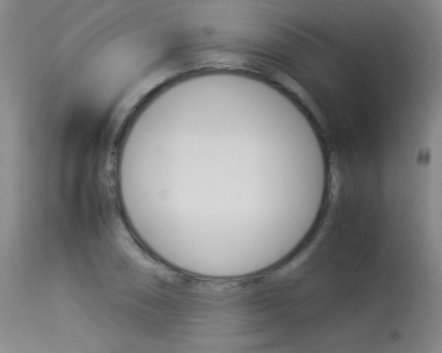 X0000114011074200910020947