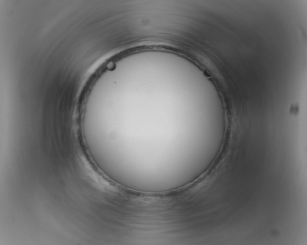 X0000114011076200910020947