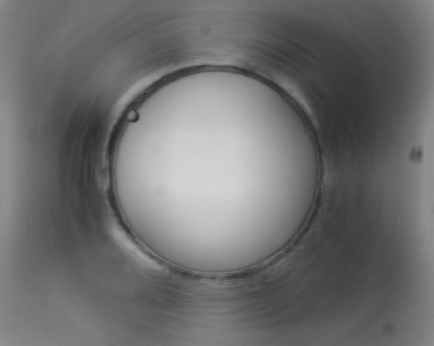 X0000114011080200910020947