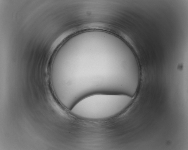 X0000114011082200910020947