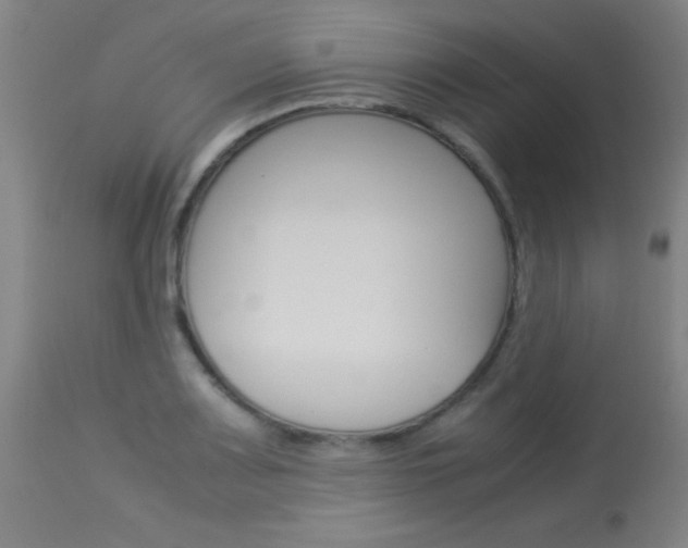X0000114011083200910020947