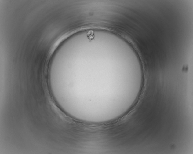 X0000114011085200910020947