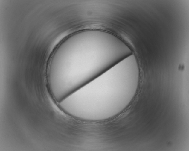 X0000114011087200910020947