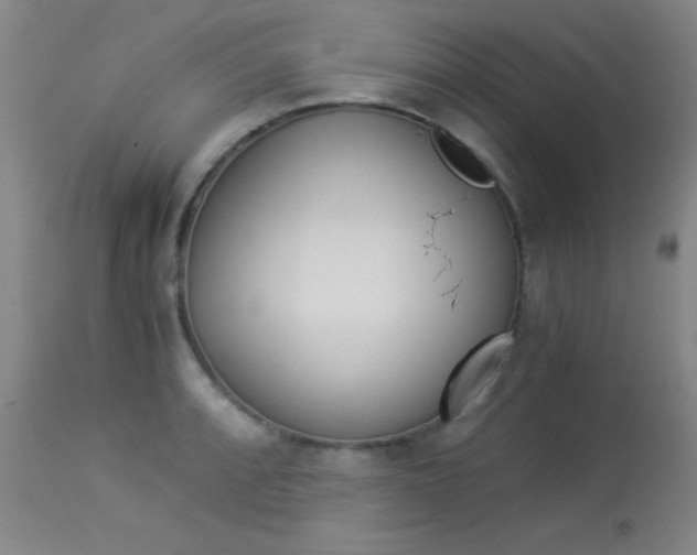 X0000114011088200910020947