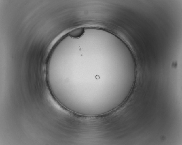 X0000114011092200910020947