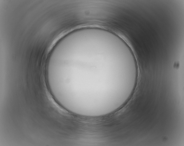 X0000114011093200910020947