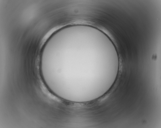 X0000114011094200910020947