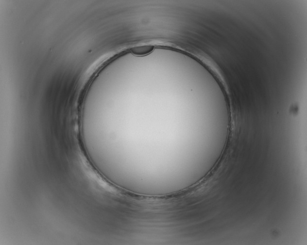 X0000114011096200910020947