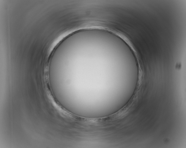 X0000114011101200910020946
