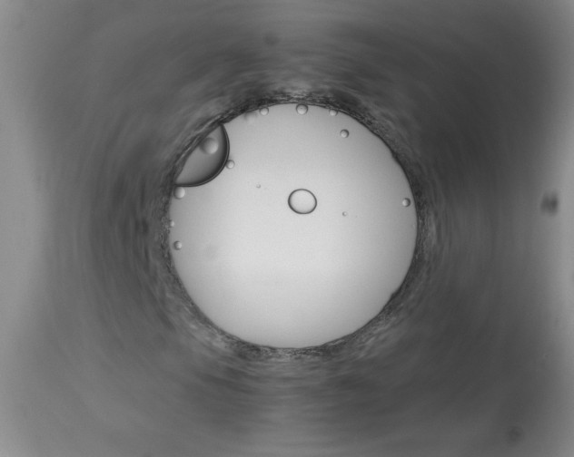 X0000114011105200910020946