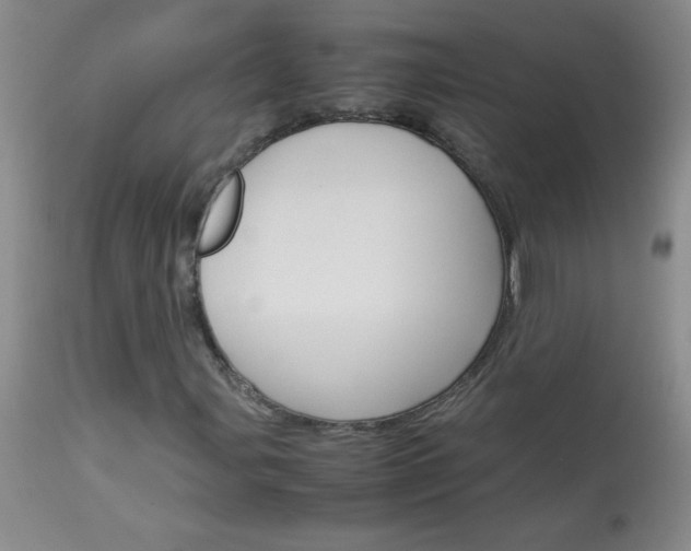 X0000114011107200910020946