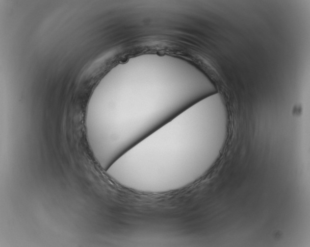 X0000114011111200910020946