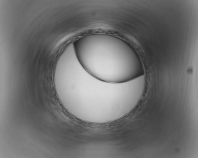X0000114011112200910020946