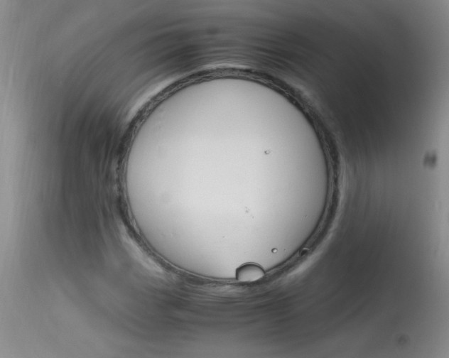 X0000114011113200910020946