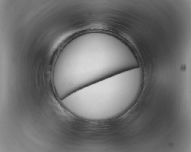 X0000114011115200910020946
