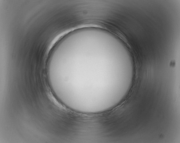 X0000114011116200910020946