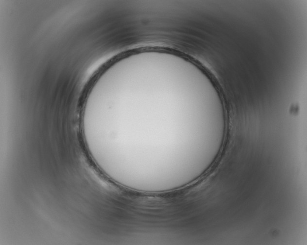 X0000114011119200910020946