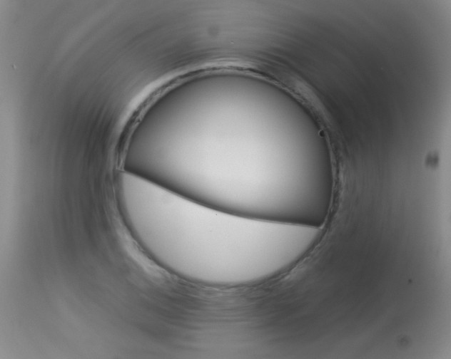 X0000114011124200910020946