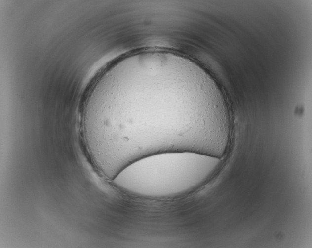 X0000114011125200910020946