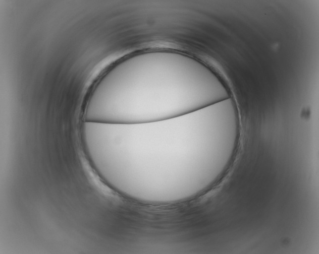 X0000114011133200910020946