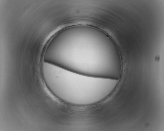 X0000114011134200910020946