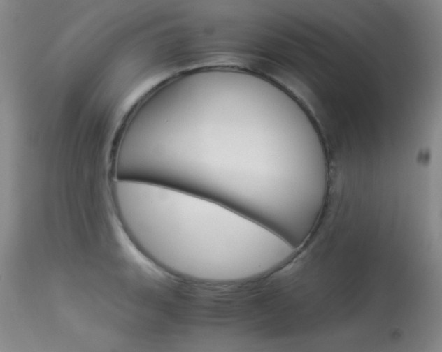 X0000114011135200910020946