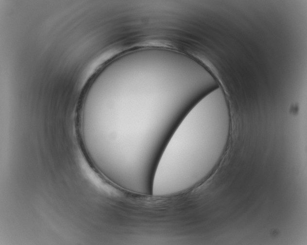 X0000114011139200910020946