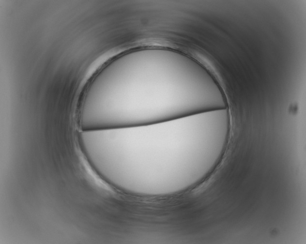 X0000114011141200910020946