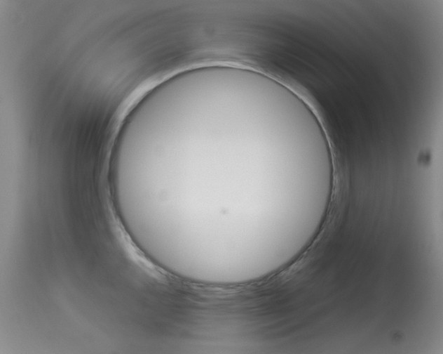X0000114011144200910020946