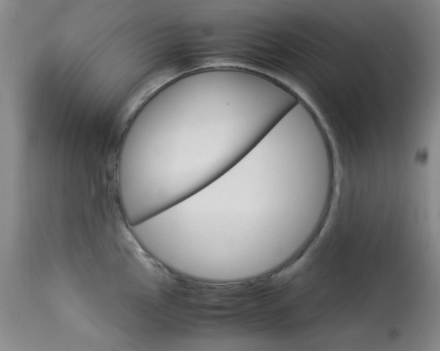 X0000114011145200910020946