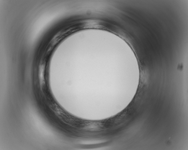 X0000114011150200910020946