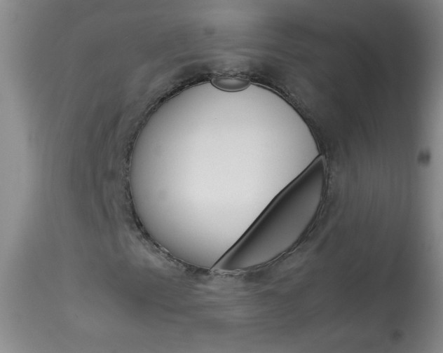 X0000114011153200910020946
