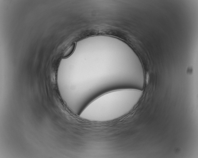 X0000114011155200910020946