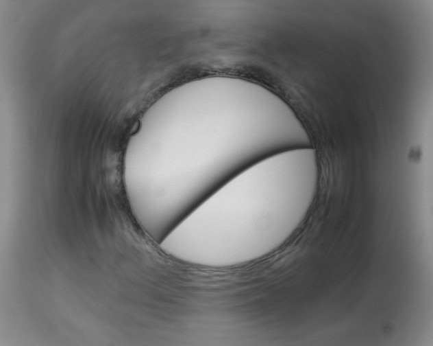 X0000114011156200910020946
