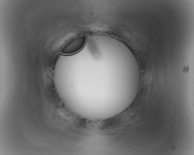 X0000114011157200910020946