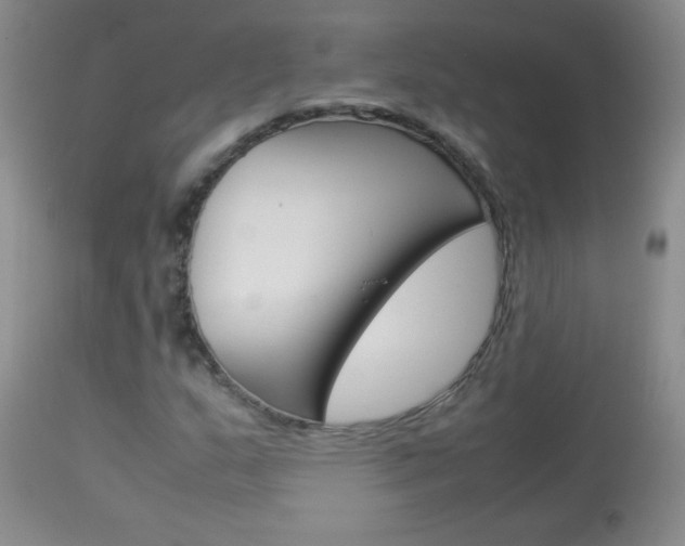 X0000114011159200910020946