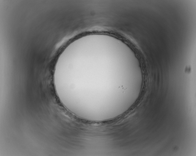 X0000114011160200910020946