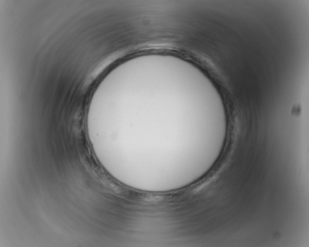 X0000114011162200910020946