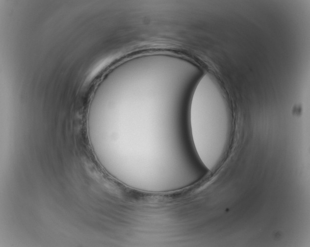 X0000114011163200910020946