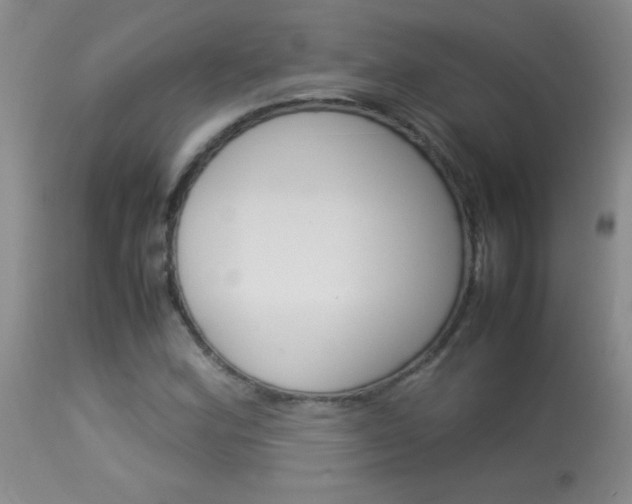 X0000114011164200910020946