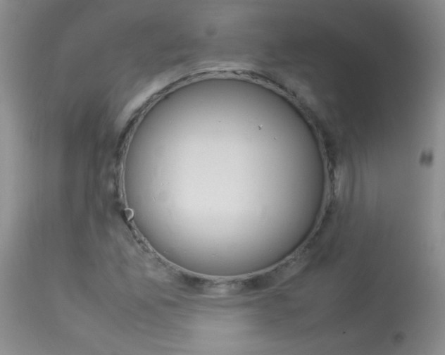 X0000114011165200910020946