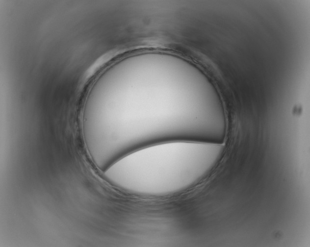X0000114011168200910020946