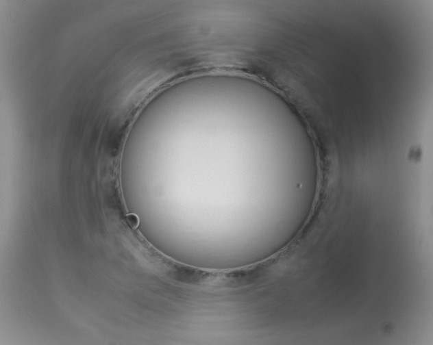 X0000114011169200910020946