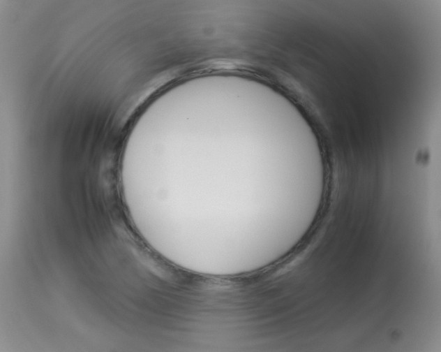 X0000114011170200910020946