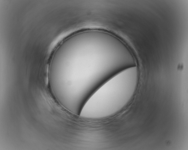 X0000114011175200910020945