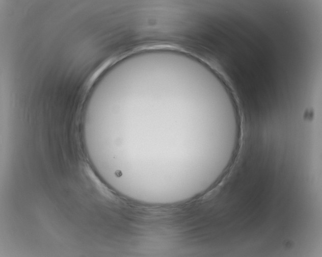 X0000114011181200910020945