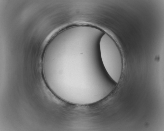 X0000114011191200910020945