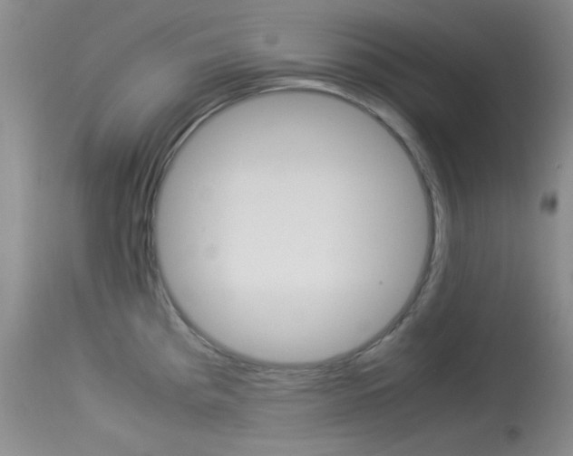 X0000114011193200910020945